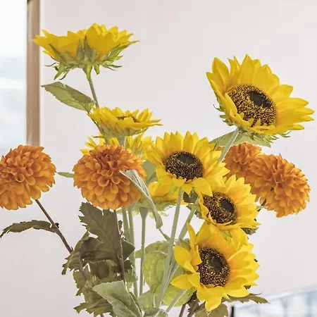 Evasion Urbaine - Vue Panoramique - Proche Gare טרואה